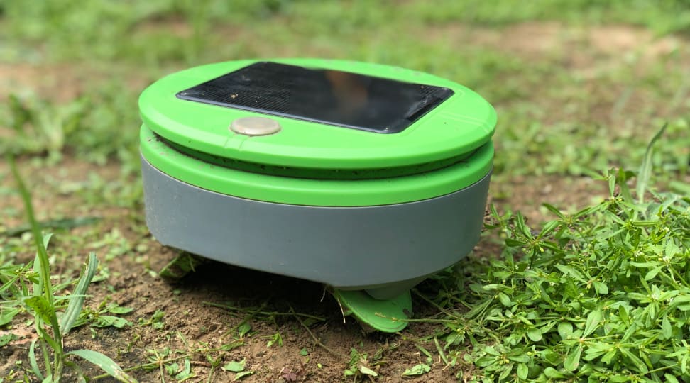 Americanii nu se dezic și inventează câte un robot pentru fiecare activitate casnică repetitivă și lipsită de haz, cum ar fi smulsul buruienilor
